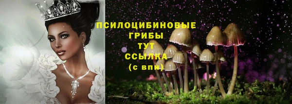 синтетический гашиш Арсеньев
